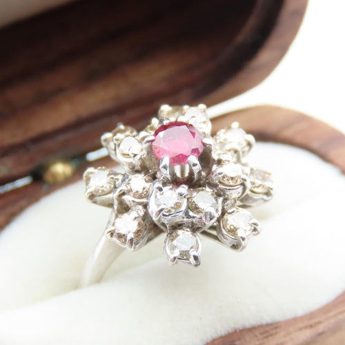 74 - Ruby and Diamond Ladies Cluster Ring Mounted on 18 Carat White Gold Ring Size M