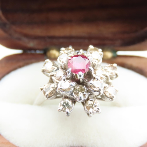 74 - Ruby and Diamond Ladies Cluster Ring Mounted on 18 Carat White Gold Ring Size M