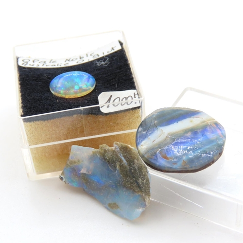 Three Loose Australian Opals One in Raw Unpolished State