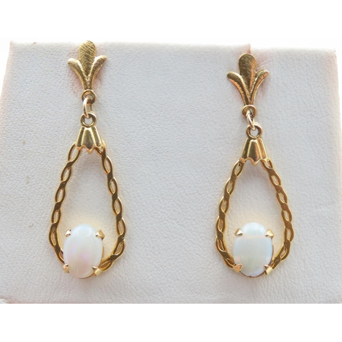 1423 - Pair of 14 Carat Yellow Gold Opal Set Drop Earrings 2.5cm High