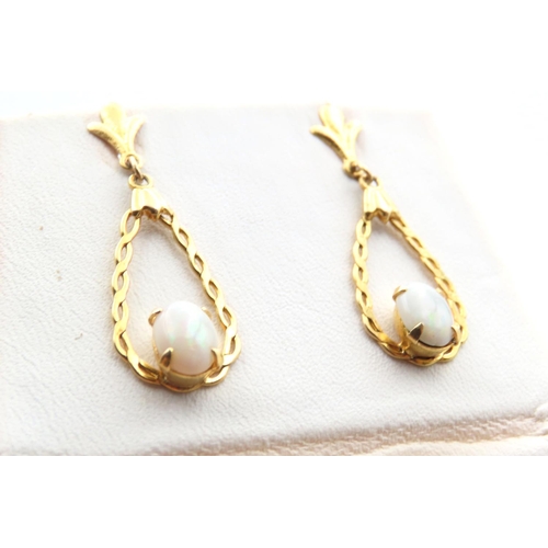 1423 - Pair of 14 Carat Yellow Gold Opal Set Drop Earrings 2.5cm High