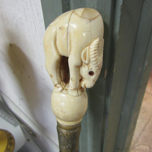 248 - Carved Bone Handled Walking Stick Full Size Oxen Motif to Handle