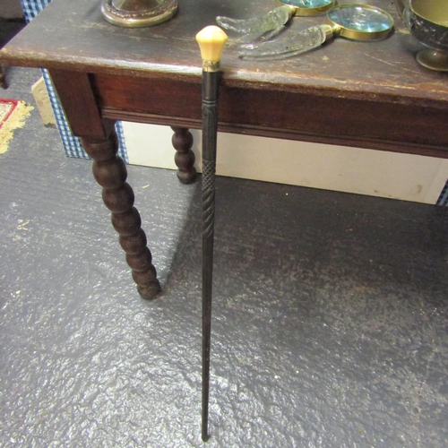 249 - Carved Handled Walking Stick Full Size Carved Bog Oak