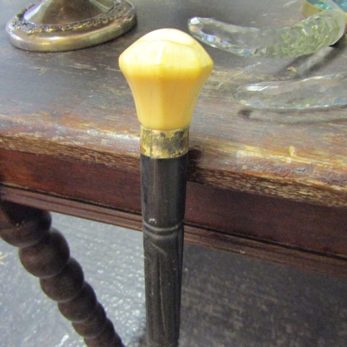 249 - Carved Handled Walking Stick Full Size Carved Bog Oak