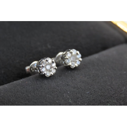 115 - Pair of 18 Carat White Gold Ladies Diamond Cluster Earrings