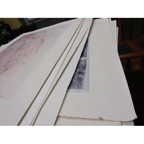 1418 - Ten Large Fine Art Lithographs by Margaret B. Mayor Each Signed and Numbered Date 1994 Each Approxim... 