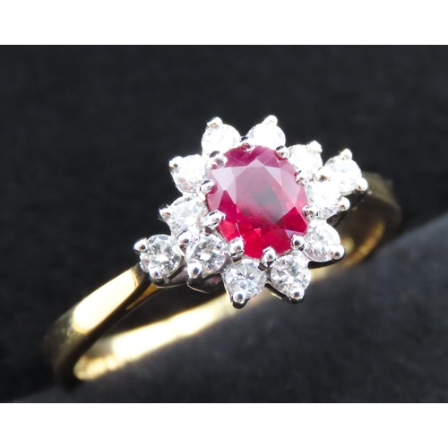 150 - Ladies Ruby and Diamond Set Cluster Ring Mounted in 18 Carat Yellow Gold Ruby Approximately 1ct Appr... 