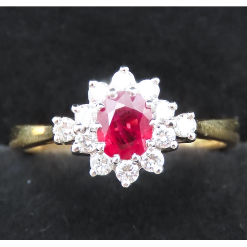 150 - Ladies Ruby and Diamond Set Cluster Ring Mounted in 18 Carat Yellow Gold Ruby Approximately 1ct Appr... 