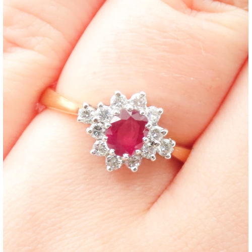 150 - Ladies Ruby and Diamond Set Cluster Ring Mounted in 18 Carat Yellow Gold Ruby Approximately 1ct Appr... 