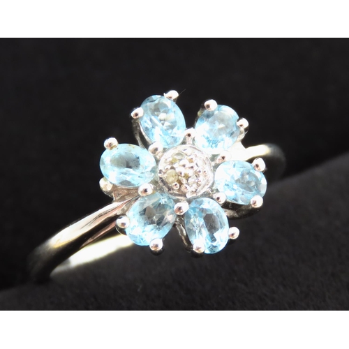 179 - Aquamarine Set Daisy Motif Ring Mounted in 9 Carat White Gold with Diamond Inset to Centre Ring Size... 