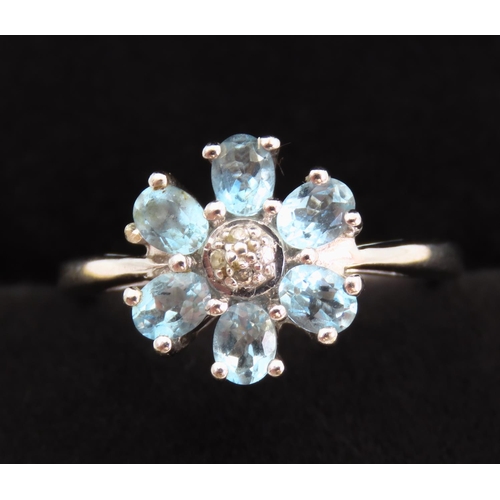 179 - Aquamarine Set Daisy Motif Ring Mounted in 9 Carat White Gold with Diamond Inset to Centre Ring Size... 