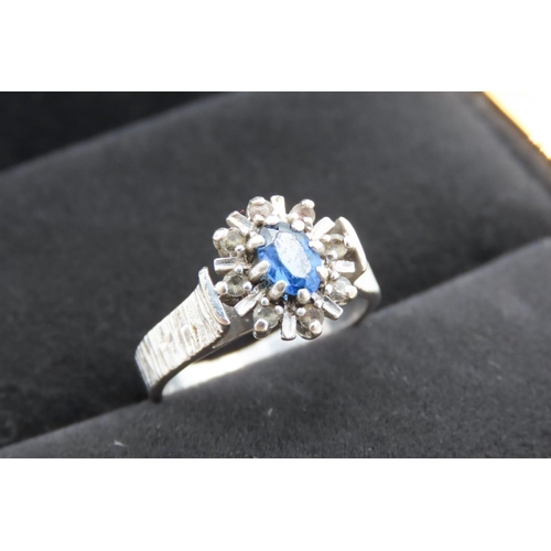 233 - Sapphire Set Ladies Cluster Ring Mounted in 18 Carat White Gold Ring Size N