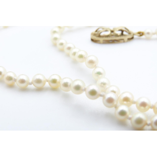 306 - Ladies Pearl Necklace with 9 Carat Yellow Gold Clasp 44cm Long