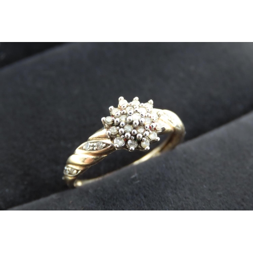 361 - Ladies Diamond Cluster Ring Set in 9 Carat  Yellow Gold with Further Diamonds Set to Band Ring Size