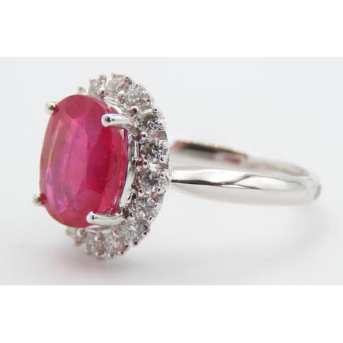 421 - Ruby and Diamond Set Cluster Ring Mounted in 18 Carat White Gold Ring Size N