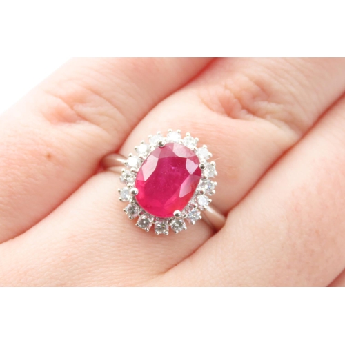 421 - Ruby and Diamond Set Cluster Ring Mounted in 18 Carat White Gold Ring Size N