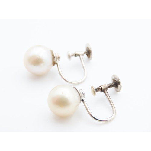 61 - Pair of 9 Carat White Gold Pearl Set Screw Back Earrings