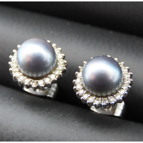 7 - Pair of Tahitian Pearl and Diamond Ladies Earrings Mounted in 14 Carat White Gold Each 1cm Diameter