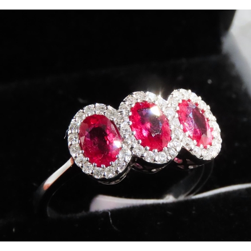 115 - Three Stone Basket Set Ruby Ring with Diamond Halo Setting Mounted in 18 Carat White Gold Ring Size ... 