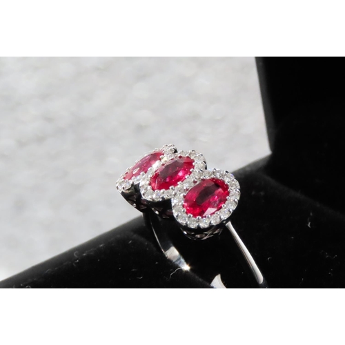 115 - Three Stone Basket Set Ruby Ring with Diamond Halo Setting Mounted in 18 Carat White Gold Ring Size ... 