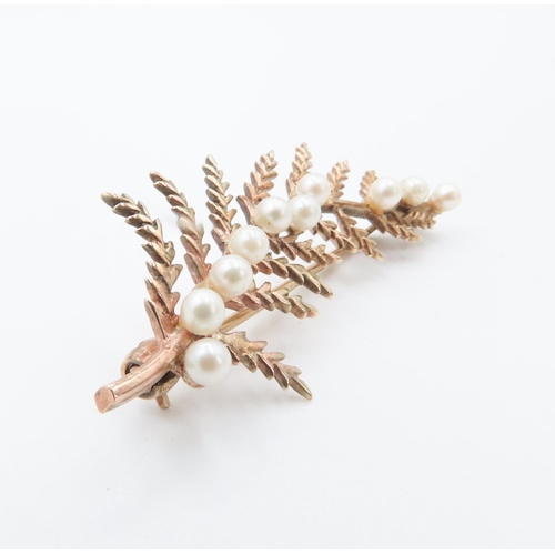 206 - 9 Carat Yellow Gold Leaf Form Brooch Set with Seed Pearls 5cm Wide