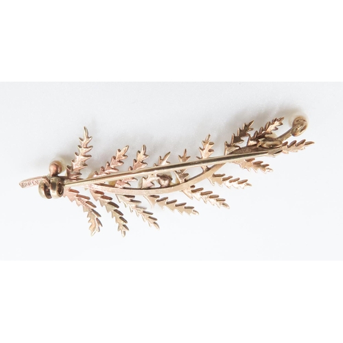 206 - 9 Carat Yellow Gold Leaf Form Brooch Set with Seed Pearls 5cm Wide