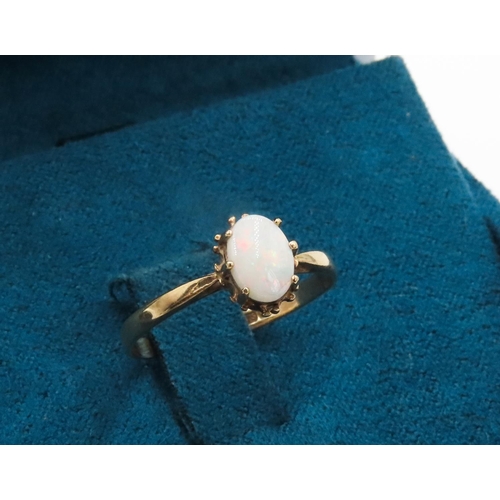 253 - Single Stone Opal Set Ring Mounted in 9 Carat Yellow Gold Ring Size M