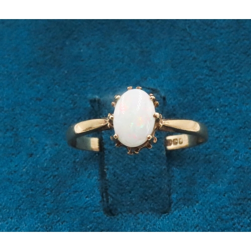 253 - Single Stone Opal Set Ring Mounted in 9 Carat Yellow Gold Ring Size M