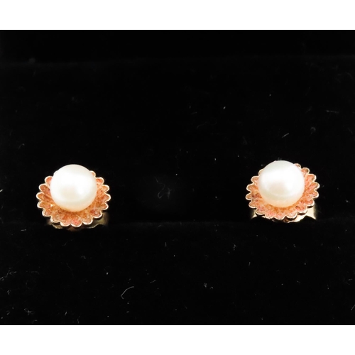 283 - Pair of 9 Carat Yellow Seed Gold Pearl Set Earrings