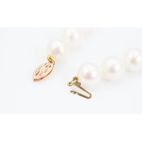 339 - Pearl Bracelet with 9 Carat Yellow Gold Clasp 18.5cm Long