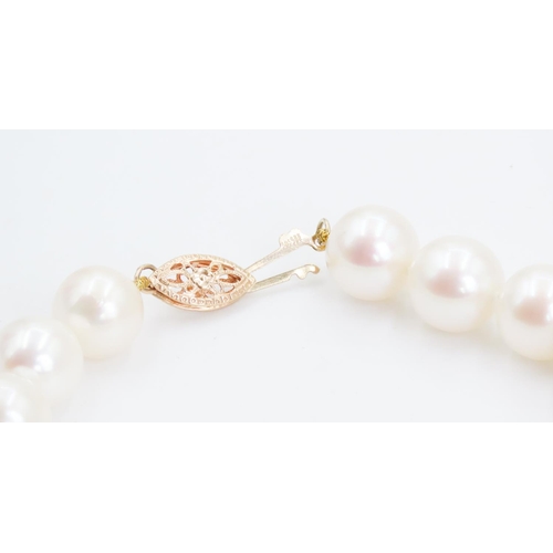 339 - Pearl Bracelet with 9 Carat Yellow Gold Clasp 18.5cm Long