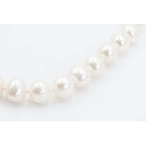 340 - Pearl Bracelet with 9 Carat Yellow Gold Clasp 26cm Long