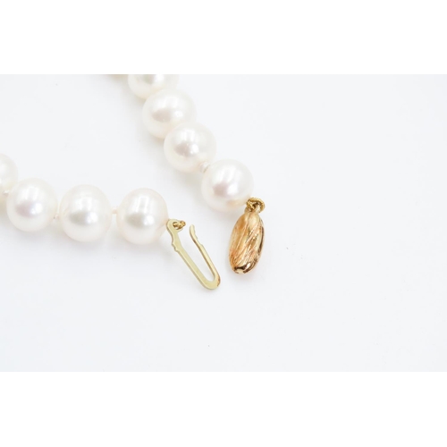 340 - Pearl Bracelet with 9 Carat Yellow Gold Clasp 26cm Long