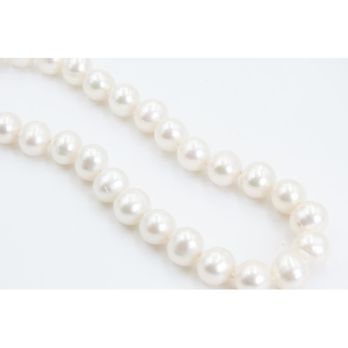 340 - Pearl Bracelet with 9 Carat Yellow Gold Clasp 26cm Long