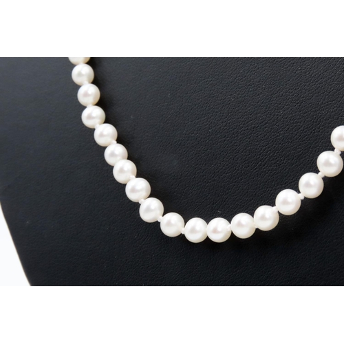 341 - Pearl Necklace with 9 Carat Yellow Gold Clasp 48cm Long