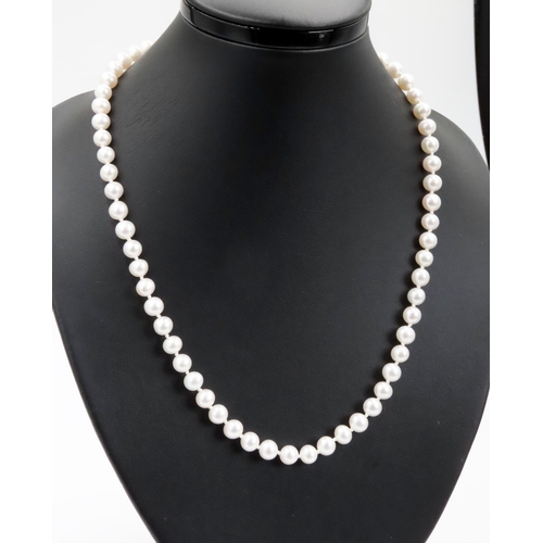 342 - Pearl Necklace with 9 Carat Yellow Gold Clasp 44cm Long