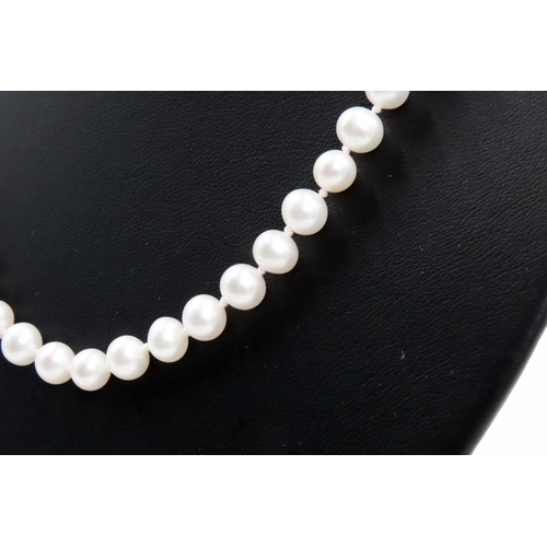 342 - Pearl Necklace with 9 Carat Yellow Gold Clasp 44cm Long