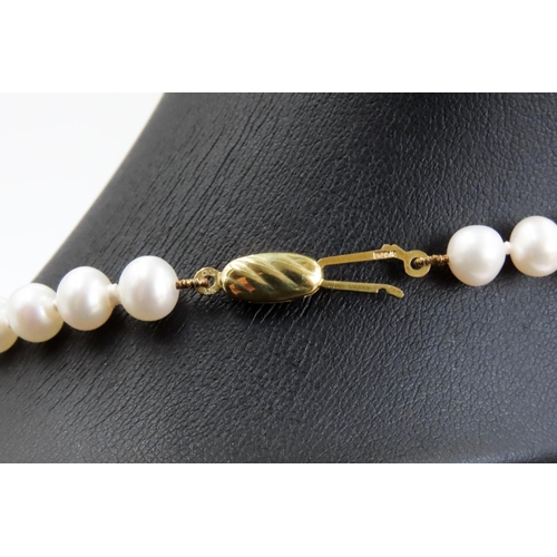 342 - Pearl Necklace with 9 Carat Yellow Gold Clasp 44cm Long