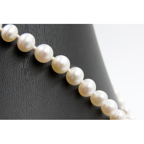 342 - Pearl Necklace with 9 Carat Yellow Gold Clasp 44cm Long