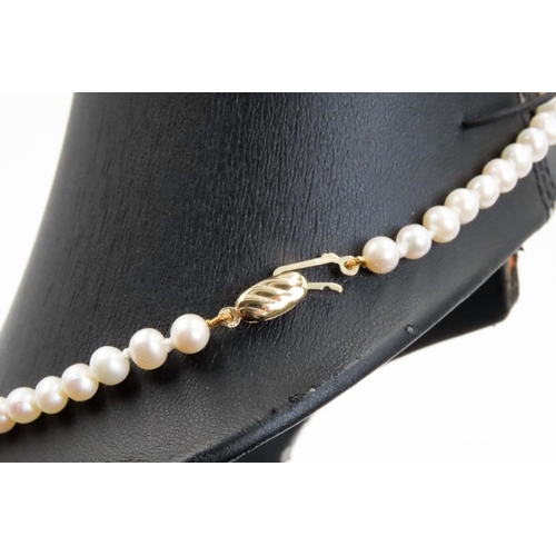 343 - Pearl Necklace with 9 Carat Yellow Gold Clasp 44cm Long