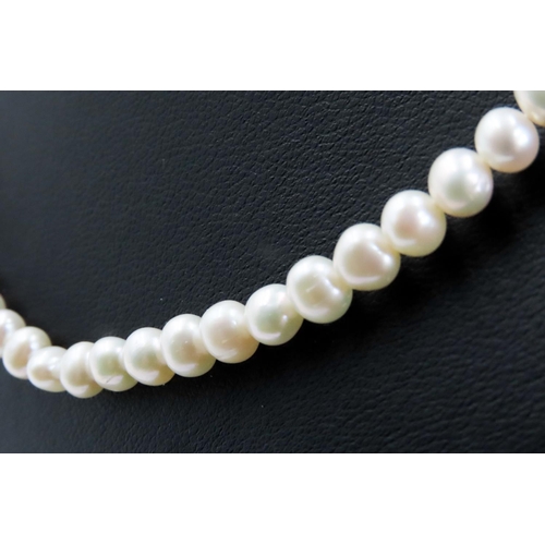 343 - Pearl Necklace with 9 Carat Yellow Gold Clasp 44cm Long