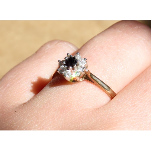 355 - 9 Carat Yellow Gold Sapphire and Gemstone Set Cluster Ring Size N