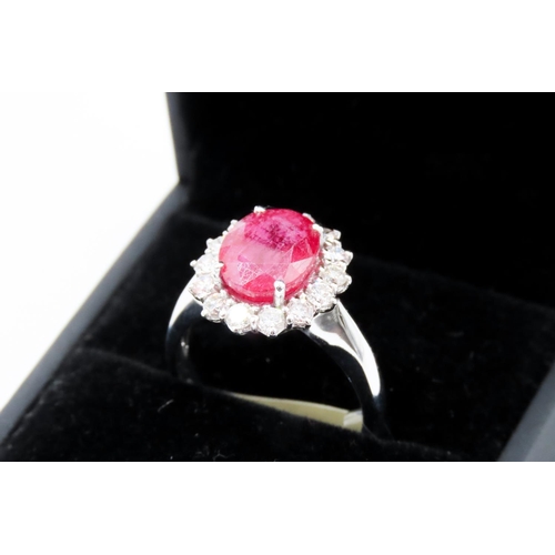 385 - Ruby and Diamond Set Ladies Cluster Ring Mounted in 18 Carat White Gold Ring Size N