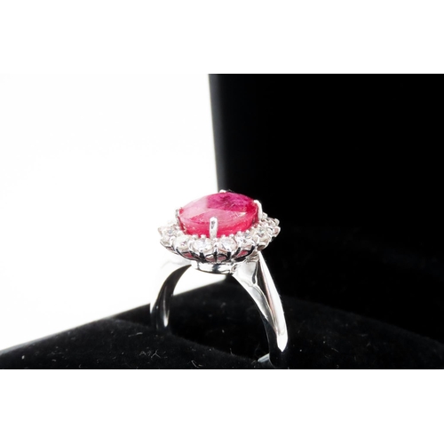 385 - Ruby and Diamond Set Ladies Cluster Ring Mounted in 18 Carat White Gold Ring Size N