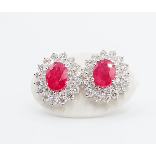 394 - Pair of Ruby Set Earrings with Double Diamond Halo Set in 18 Carat Rose Gold Each 1.5cm High