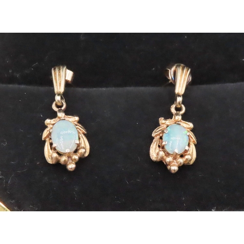 456 - Pair of Attractively Detailed Pretty Blue Opal Earrings Australian Set in 9 Carat Yellow Gold Each 2... 