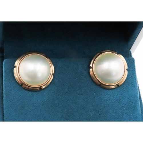 557 - Pair of Pearl Set Earrings Mounted in 9 Carat Yellow Gold 1.5cm Diameter