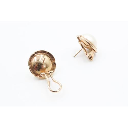 557 - Pair of Pearl Set Earrings Mounted in 9 Carat Yellow Gold 1.5cm Diameter