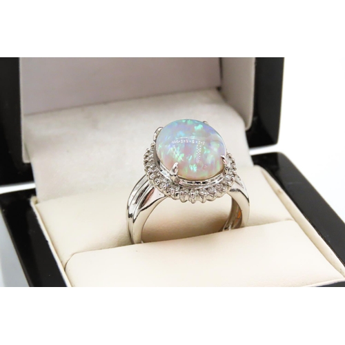 10 - Finely Detailed 5.24ct Opal Centre Stone Ring with Diamond Halo Surround Set in Platinum Opal of Hig... 