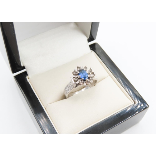 Sapphire Set Ladies Cluster Ring Mounted in 18 Carat White Gold Ring Size N
